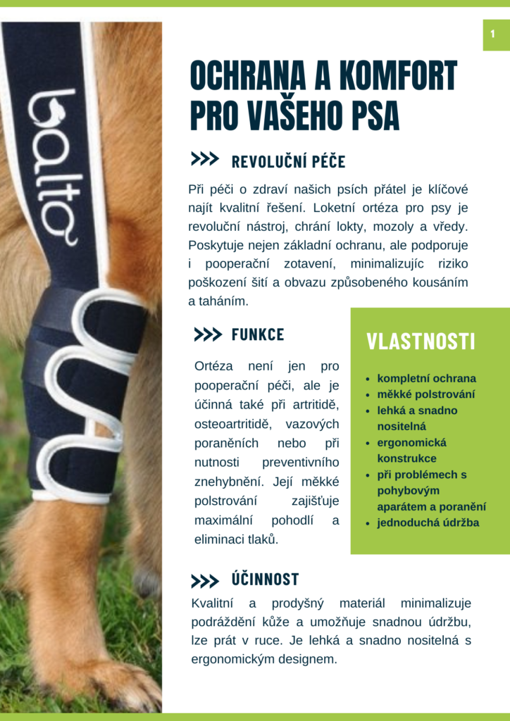Tisková ukázka 2
